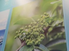 -半天妖烤鱼(大兴大悦春风里店)