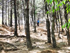 -大觉寺-停车场