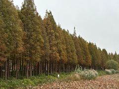 -云龙湖旅游景区