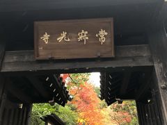 -常寂光寺