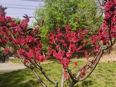 -元大都城垣遗址公园