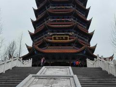 -铁山坪森林公园