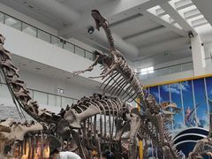 -中国地质大学逸夫博物馆