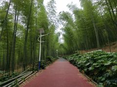 -石塘人家