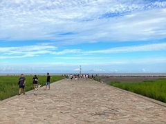 -南汇嘴观海公园