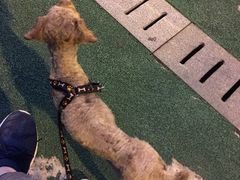 -燕青小馆(东园大厦店)