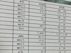 -瑞派宠物医院·24h·骨外科·皮肤科·全科宠物医疗转诊中心(沈阳浑南院)
