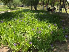 -济南国际园博园