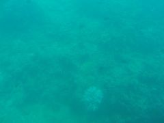 -亚龙湾海底世界