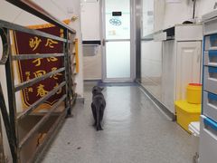 -安安宠医·安宠宠物医院