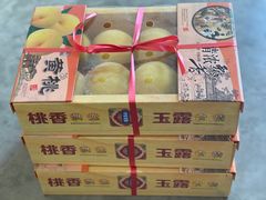 -南汇水蜜桃采摘(大团店)