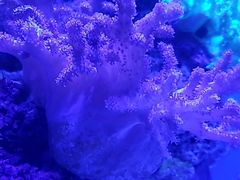 -上海海昌海洋公园
