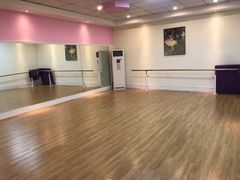 -红舞鞋舞蹈教育(近江校区)