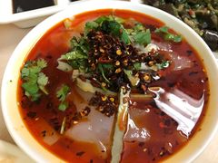 凉粉-东方削面(迎泽街店)