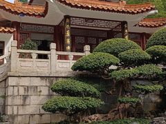 -深圳仙湖植物园