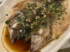 -看见远方·莫干遥远的山民宿
