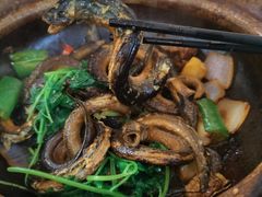 -台山第一家兴华黄鳝饭·黄鳝婆(开平店)