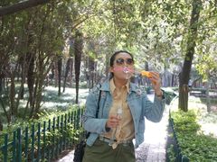 -西安市长乐公园