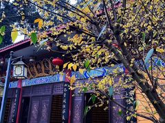 -都江堰普照寺