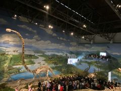 -自贡恐龙博物馆