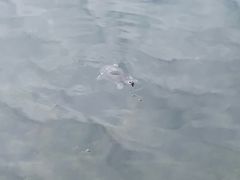 -后襄河公园