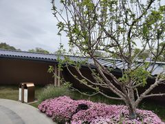 -成都市文化公园