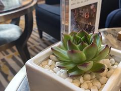-威斯汀酒店Exchange大堂吧