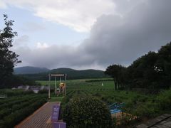 -济州森林小火车生态公园