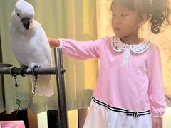 -太原动物园