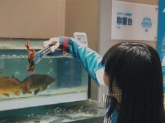 -盒马鲜生(顺义店)
