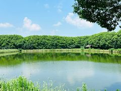 -广富林郊野公园