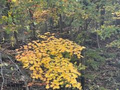 -本溪老边沟风景区