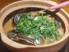 -九道菜有鸡鱼头(石鼓路店)