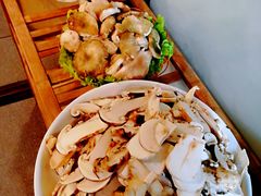 -菌海森林·非遗野生菌火锅(西山区滇池路摩根道店)