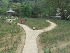 -广州市石门国家森林公园
