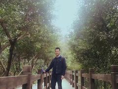 -重庆彩云湖湿地公园