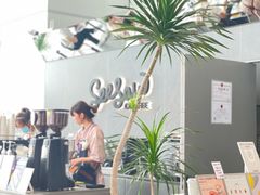 -Seesaw Coffee(深圳万象天地店)