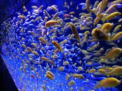 -成都浩海立方海洋公园