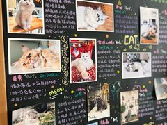 -小时光咖啡馆(开森度假森林店)