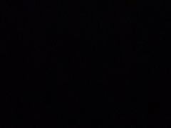 -派立斯游泳健身(狂野店)