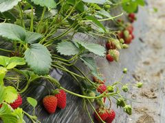 -兴芮温泉度假区