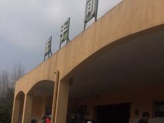 -鹰潭服务区-停车场