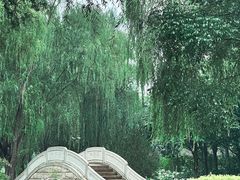 -北坞公园