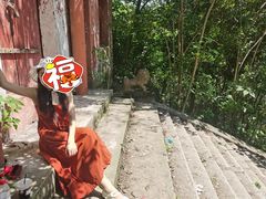 -青龙山国家森林公园