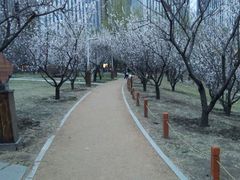 -长春公园(普阳街道)