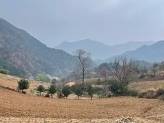 -王顺山国家森林公园