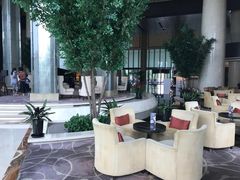 -新都绿城喜来登酒店大堂吧