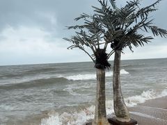 -老虎石海上公园