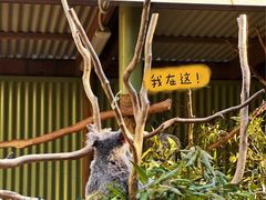 -费瑟代尔野生动物园