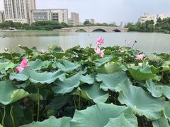 -江南大学(蠡湖校区)